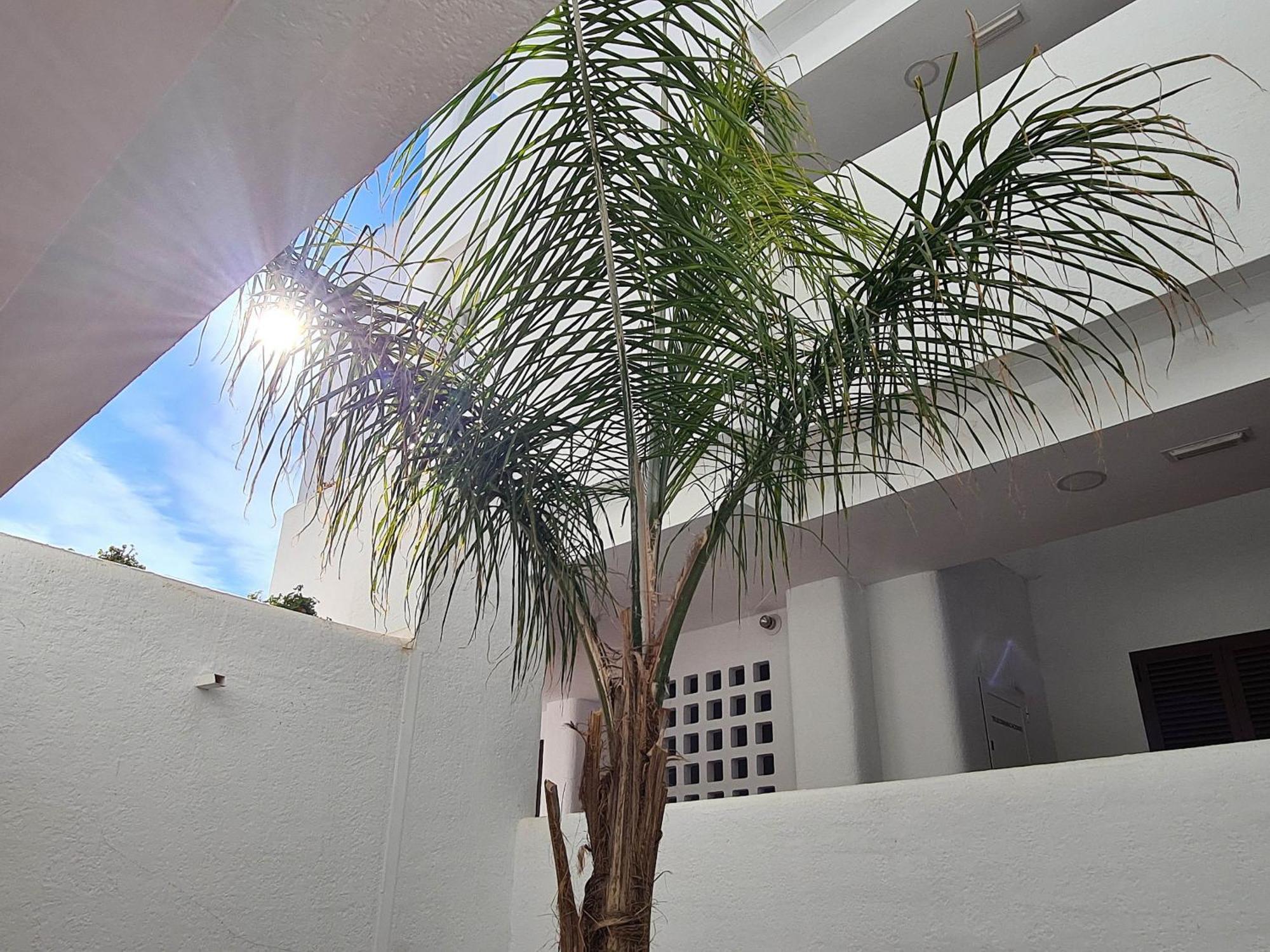 El Sueno Apartment San Juan de los Terreros Exterior foto